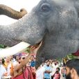 The Jagadgurus visiting the Malliyoor Mahaganapati temple, in Malliyoor, Kottayam District