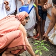 Sri Sannidhanam offering Pushpanjali at the Shasta Sannidhi and Nagar Sannidhi in the Mandapam complex and planting a sapling