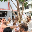 Sri Sannidhanam offering Pushpanjali at the Shasta Sannidhi and Nagar Sannidhi in the Mandapam complex and planting a sapling