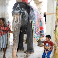 The Kumbabhishekam ceremonies at Kailasanatha Swamy temple at Gangaikondan