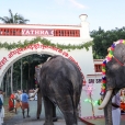 Procession entering the entering the Agrahara through the main arch
