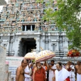 In the morning of May 6, Sri Mahasannidhanam and Sri Sannidhanam visited the Pashupateeshwarar temple