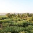 Kodimangalam landscapes