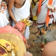 Sri Sannidhanam at the Balagopala Swamy Goshala at Iluppaiyurani