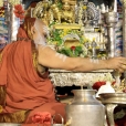 Sri Mahasannidhanam performs Ksheerabhisheka during Narasimha Jayanti Puja