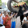The Jagadgurus were received with traditional Poornakumbha Swagata by the Joint Commissioner of the temple and the Sthanika Archakas led by Sri Shiva Shanmukha Gurukkal and Sri Selva Subrahmanya Gurukkal