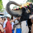 The Jagadgurus were received with traditional Poornakumbha Swagata by the Joint Commissioner of the temple and the Sthanika Archakas led by Sri Shiva Shanmukha Gurukkal and Sri Selva Subrahmanya Gurukkal