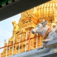 The golden Vimana Gopura above the sanctum sanctorum