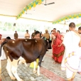 In the morning of April 7, 2017, the Sankalpa for the Prathishta Kumbhabhisheka of the Sharadamba temple was performed