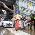 Jagadgurus being welcomed back to Sringeri