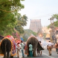 The Jagadgurus arrived at the famous temple town of Srirangam to a rapturous welcome by devotees