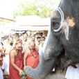 The Jagadgurus at the famous Rangantha Swamy Temple