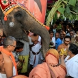 Jagadgurus arrive in Thenkarai