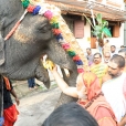 Jagadgurus visting the Sri Padmanabha Swamy temple