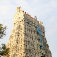 The Sri Subrahmanya Swamy Temple