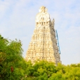 A view of the Sri Subrahmanya Temple