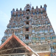 Sri Sannidhanam being led in a procession to the entrance of the massive Nellaiappar temple