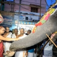 Sri Sannidhanam (first) having Darshan at the Sringeri Shankara Math (Tirunelveli town branch)